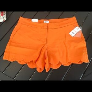Crown & Ivy Women’s Size 10 Shorts